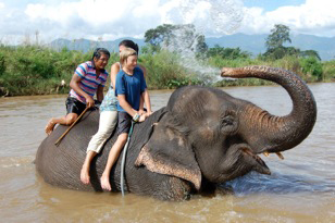 Elephant Ride in Thailand